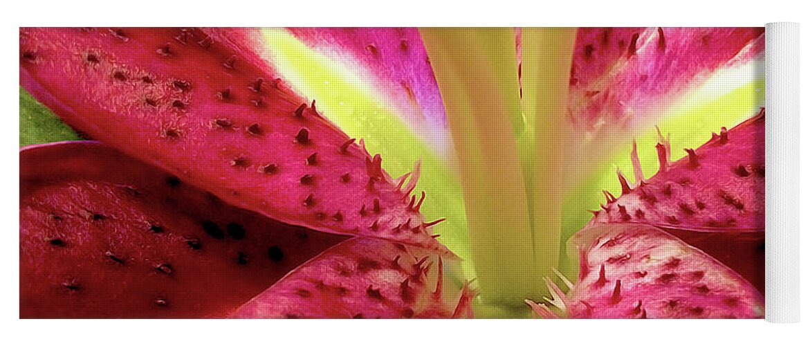 Nature Yoga Mat featuring the photograph Red Lily Closeup by Linda Carruth
