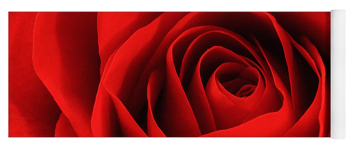 Red Yoga Mat featuring the photograph Red Rose by Joni Eskridge