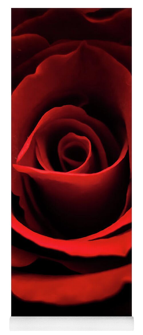 Rose Yoga Mat featuring the photograph Red rose by Mariusz Talarek