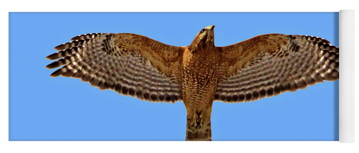 Birds Yoga Mat featuring the pyrography Red-shouldered Hawk by Harry Moulton