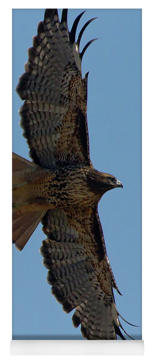 Hawk Yoga Mat featuring the photograph Red-Tail Hawk-Signed-#7872 by J L Woody Wooden