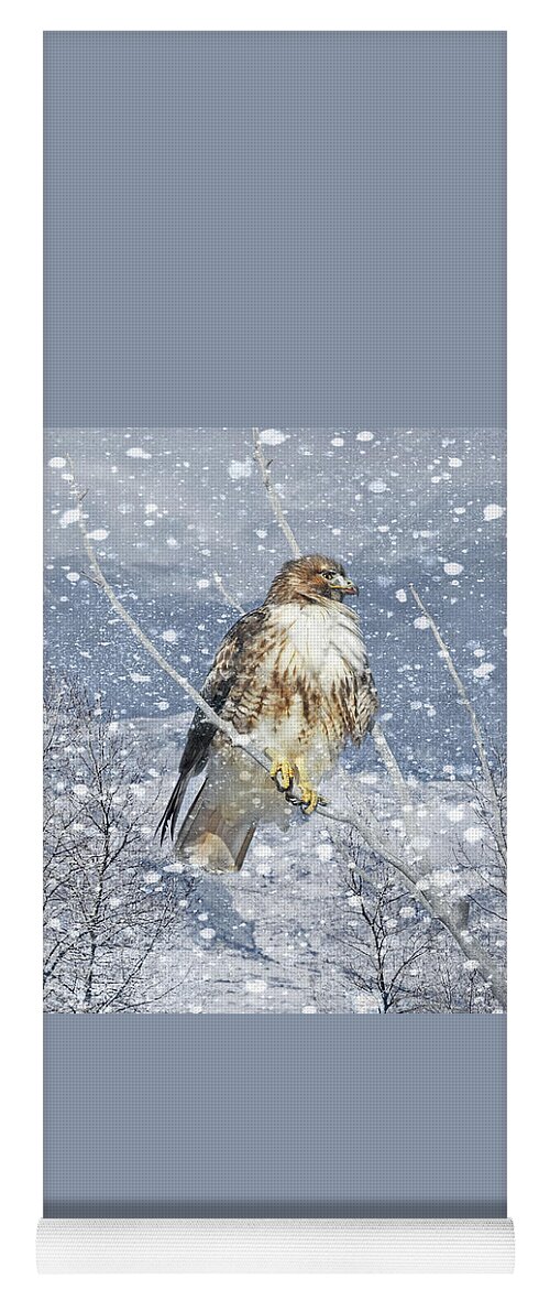 Red Tail Hawk Yoga Mat featuring the photograph Red Tail Hawk Winter by Jennie Marie Schell