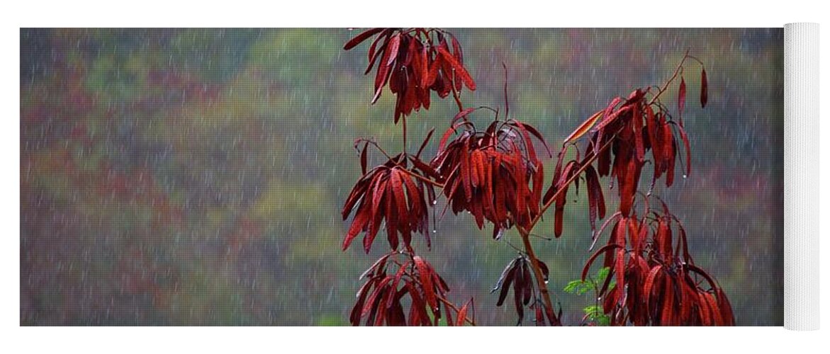 Alabama Photographer Yoga Mat featuring the digital art Red Tree in the Rain by Michael Thomas