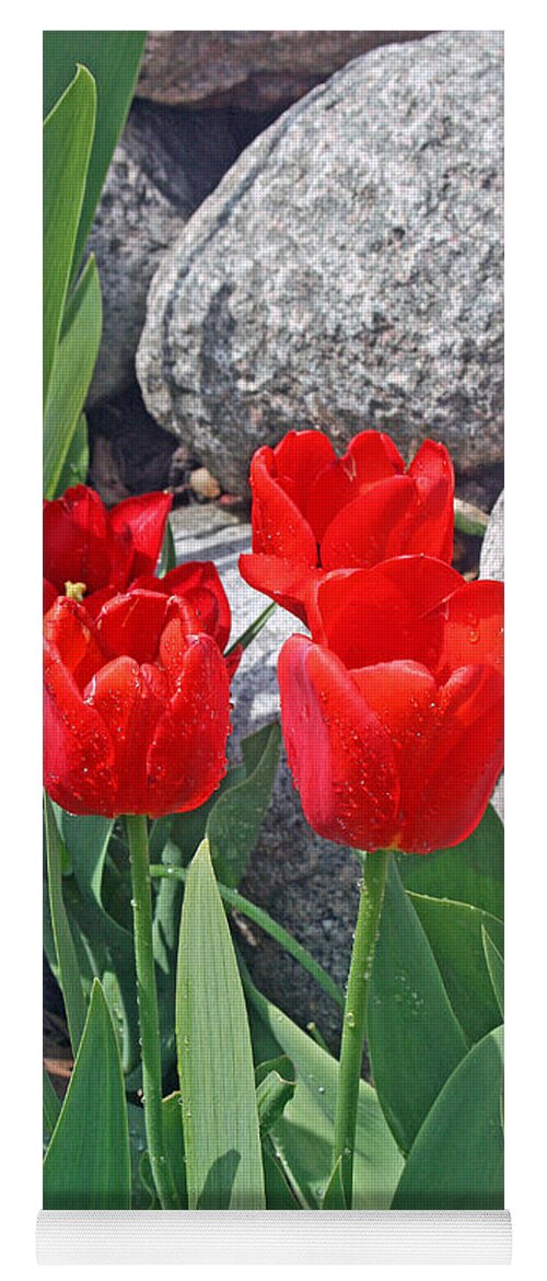 Tulips Yoga Mat featuring the photograph Red Tulips On The Rocks by Kay Novy
