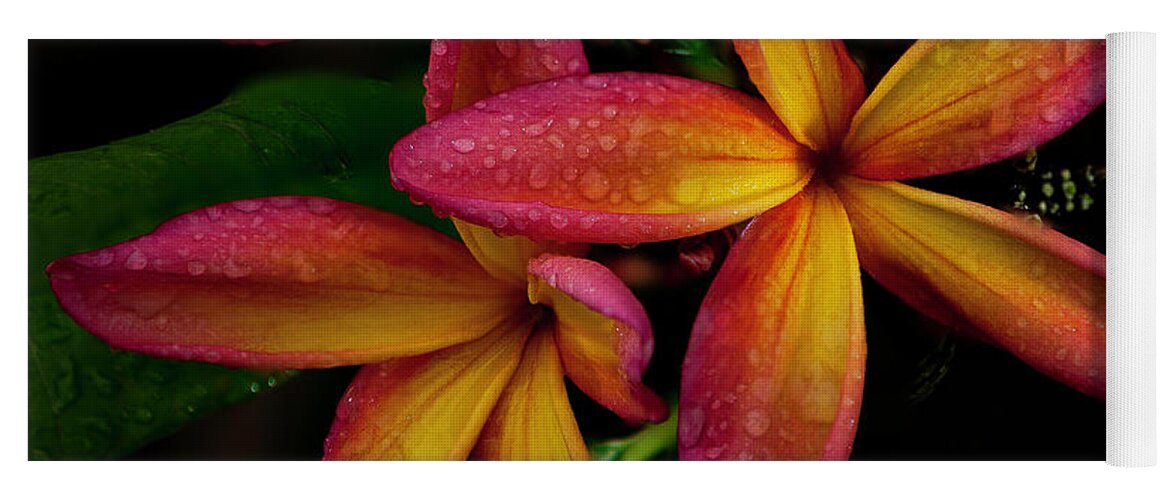 Plumeria Yoga Mat featuring the photograph Red/Yellow Plumeria in Bloom by John A Rodriguez