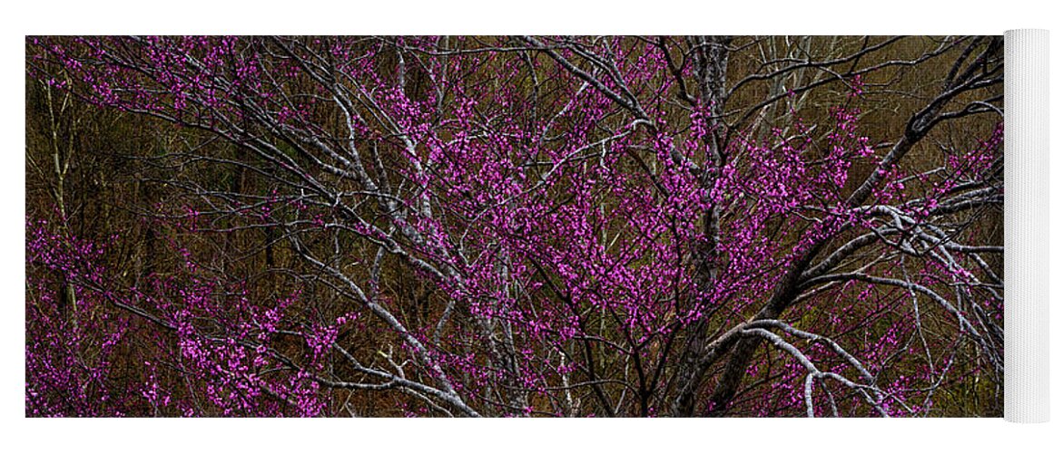 Spring Yoga Mat featuring the photograph Redbud in the Spring Woods by Thomas R Fletcher