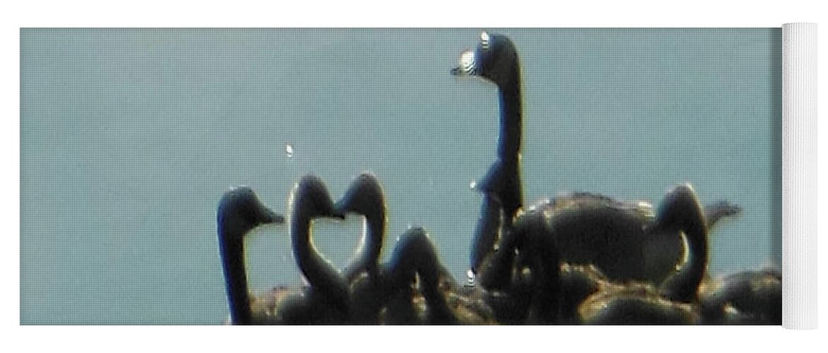 Reflection Of Geese Yoga Mat featuring the photograph Reflection of Geese by Rockin Docks Deluxephotos