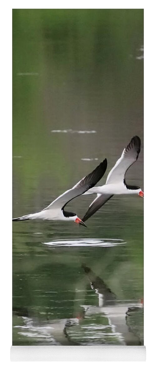 Bird Yoga Mat featuring the photograph Reflection of Skimmers over the Pond by Carol Groenen