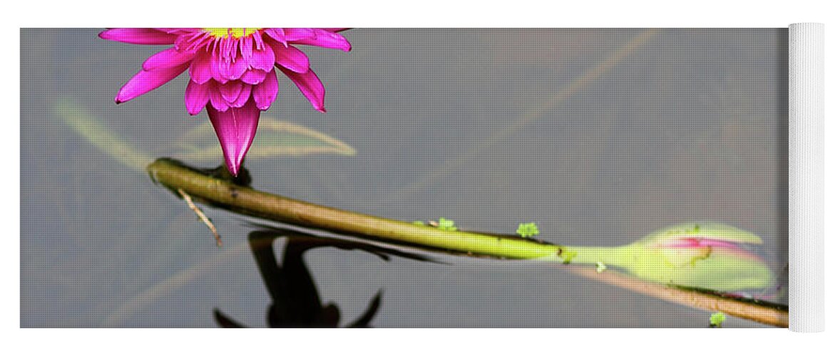 Waterlily Yoga Mat featuring the photograph Reflective Beauty by Mary Anne Delgado