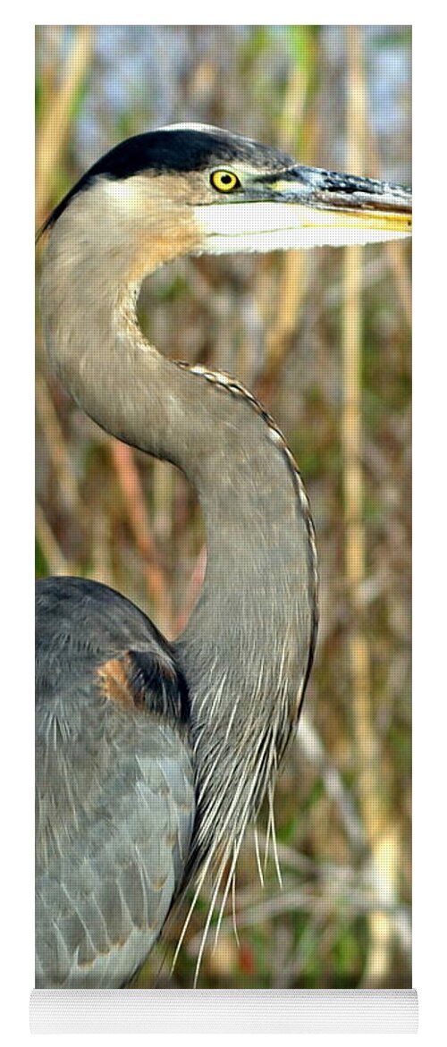 Heron Yoga Mat featuring the photograph Regal Heron by Marty Koch