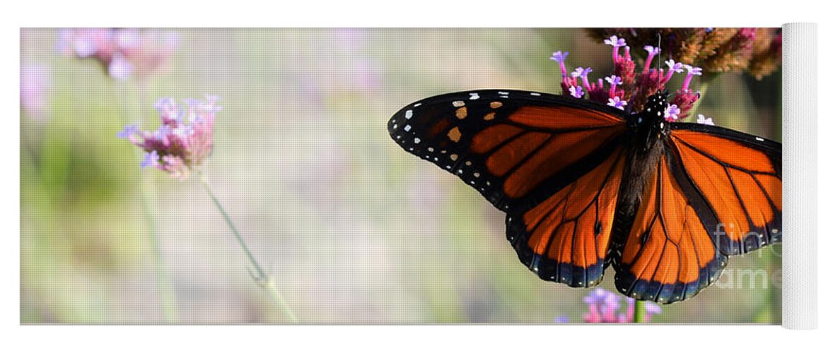 Nature Yoga Mat featuring the photograph Regal Monarch by Elaine Manley