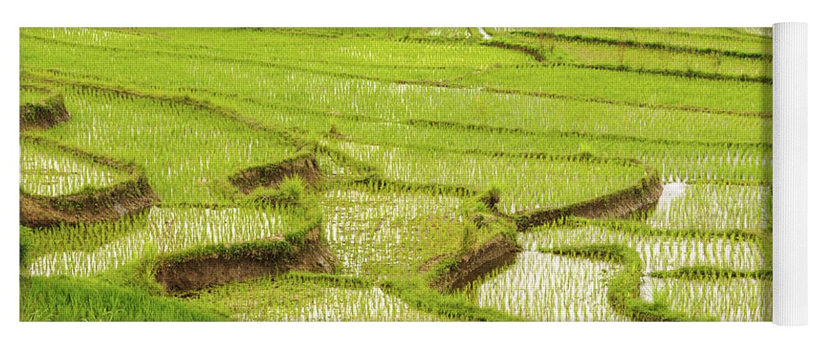 Agriculture Yoga Mat featuring the photograph Ricefields in Bali 1 by Werner Padarin