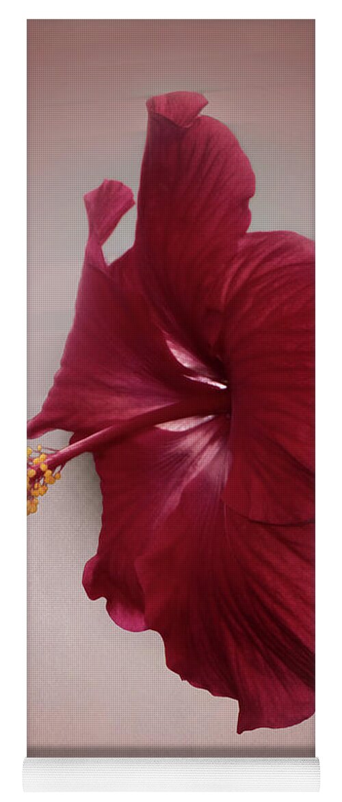 Pretty Yoga Mat featuring the photograph Rich Red by Judy Hall-Folde