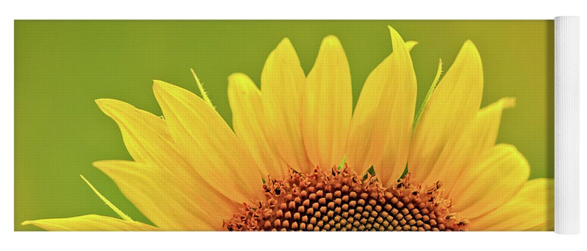 Anderson Sunflower Farm Yoga Mat featuring the photograph Rise And Shine by Doug Sturgess