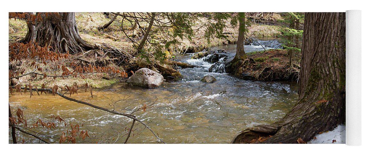 Trail Yoga Mat featuring the photograph River in Spring by Linda Kerkau