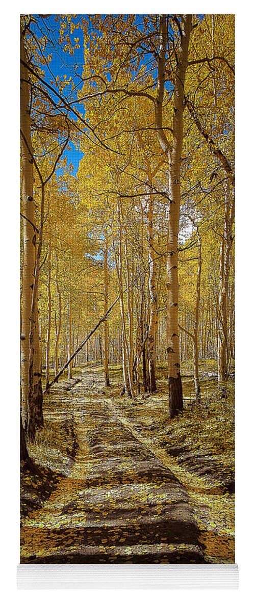 Nature Yoga Mat featuring the photograph Road to Gold in Colorado by Steven Reed