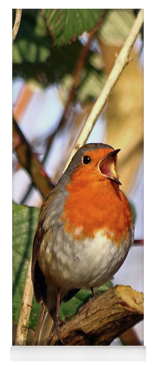 Robin Yoga Mat featuring the photograph Robin Singing by Jeff Townsend