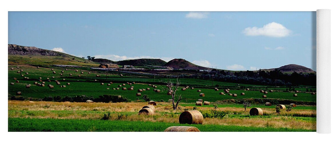 Photograph Yoga Mat featuring the photograph Rolling Pasture by Richard Gehlbach