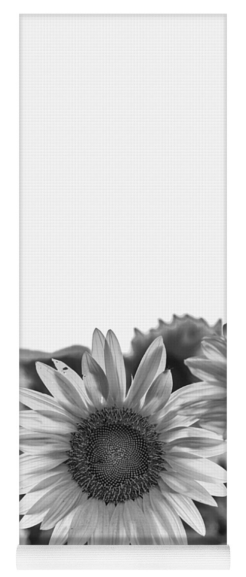 Black And White Yoga Mat featuring the photograph Room to Grow by Christi Kraft