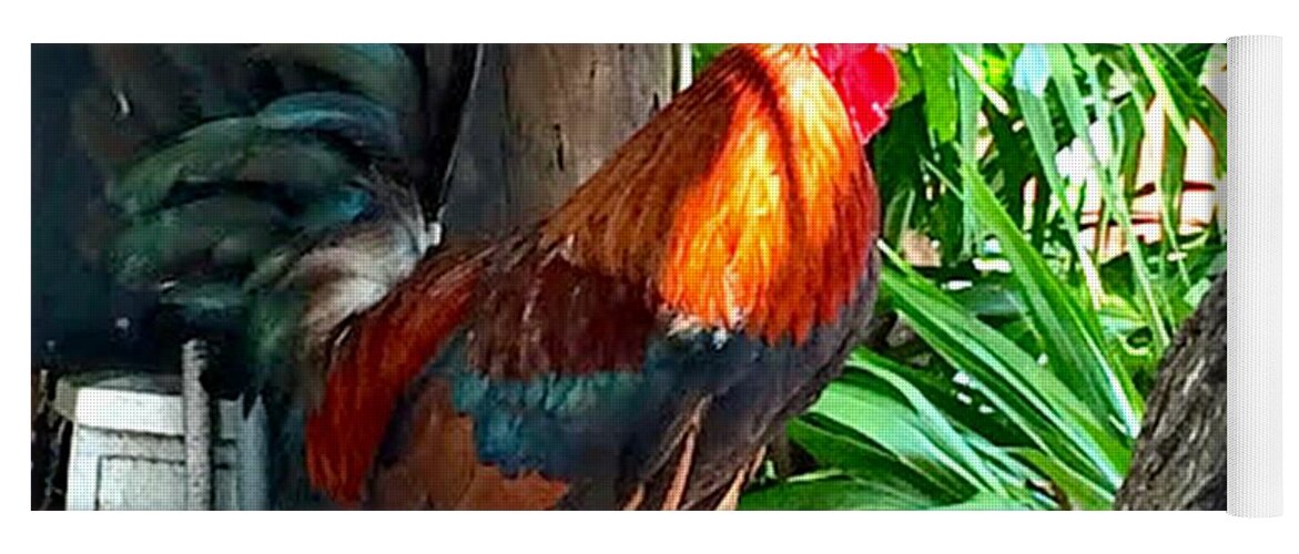 Rooster Yoga Mat featuring the photograph Rooster in Key West by Mary Pille