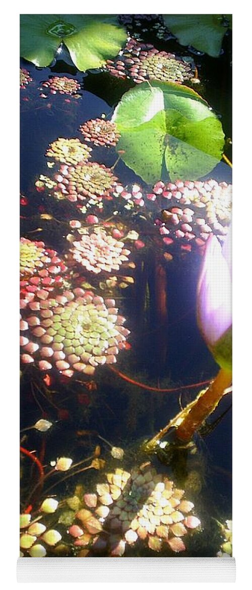 Flowers Yoga Mat featuring the photograph Root of Beauty by Scarlett Royale
