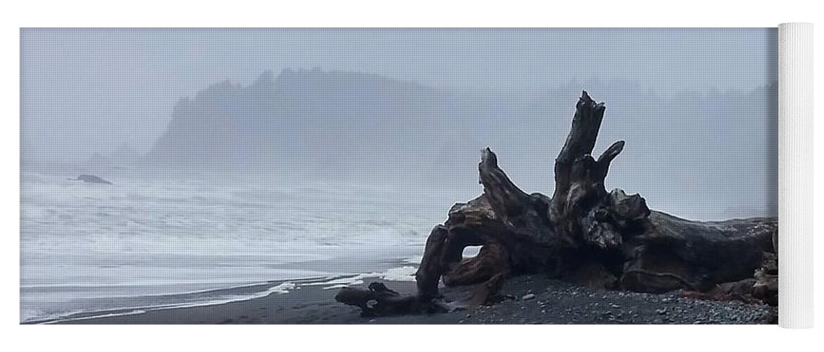 Rialto Beach Yoga Mat featuring the photograph Roots Touch Pacific by Alexis King-Glandon