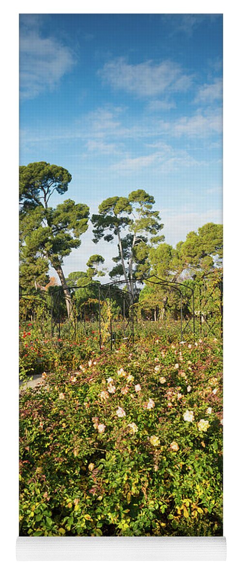 Madrid Yoga Mat featuring the photograph Rosaleda rose-garden in Retrio park by Andrew Michael