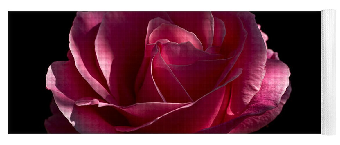 Rose Rose On Black Ii Yoga Mat featuring the photograph Rose Rose on Black II by Torbjorn Swenelius