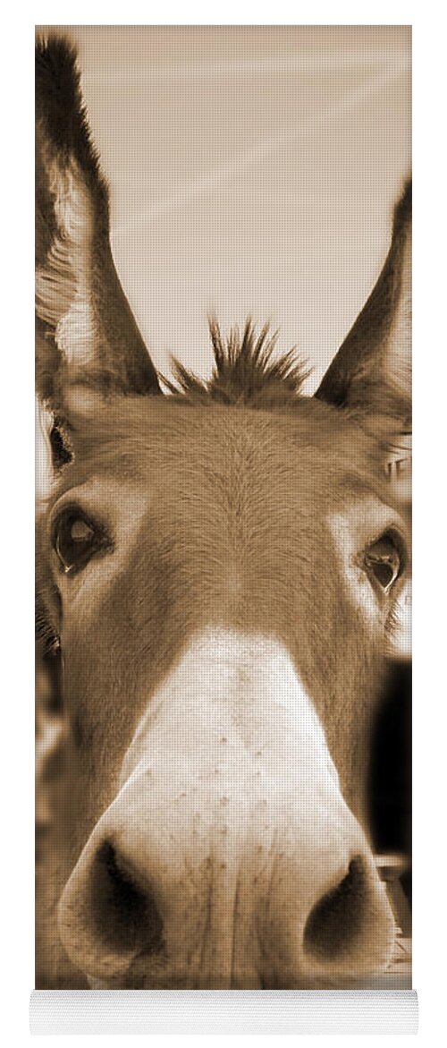 Route 66 Yoga Mat featuring the photograph Route 66 - Oatman Donkeys by Mike McGlothlen