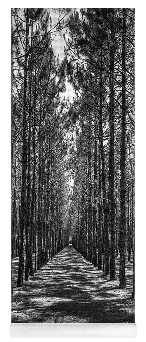 Pines Yoga Mat featuring the photograph Rows of Pines Vertical by Gulf Coast Aerials -