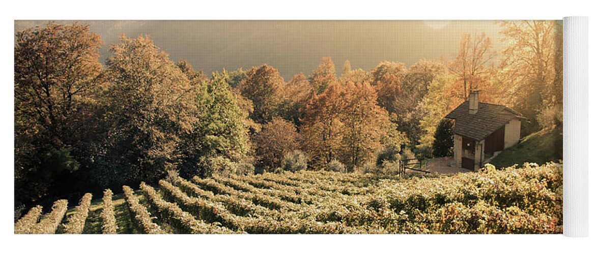 Autumn Yoga Mat featuring the photograph Rows of vine in a vineyard in ticino, switzerland at sunset by Amanda Mohler