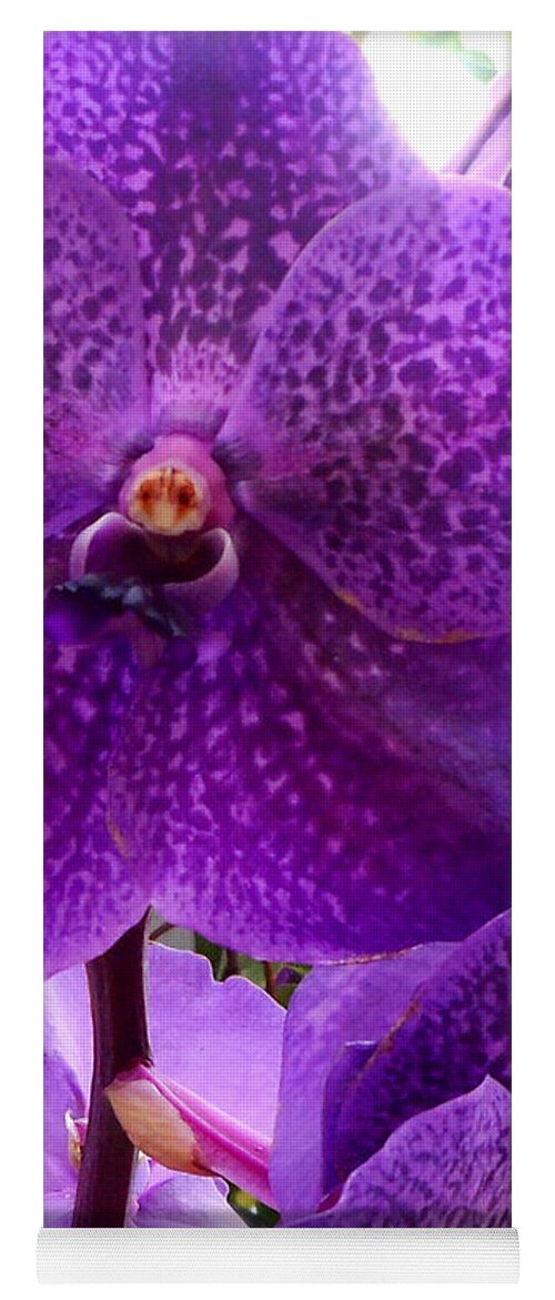 Purple Orchid Yoga Mat featuring the photograph Royal Purple Orchids by Kristin Aquariann