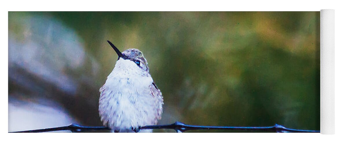 Heron Heaven Yoga Mat featuring the photograph Ruby-throated Hummingbird Staying Warm by Ed Peterson