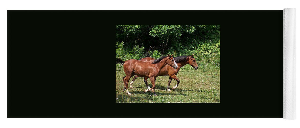 Horses Yoga Mat featuring the photograph Running the Field by De McClung