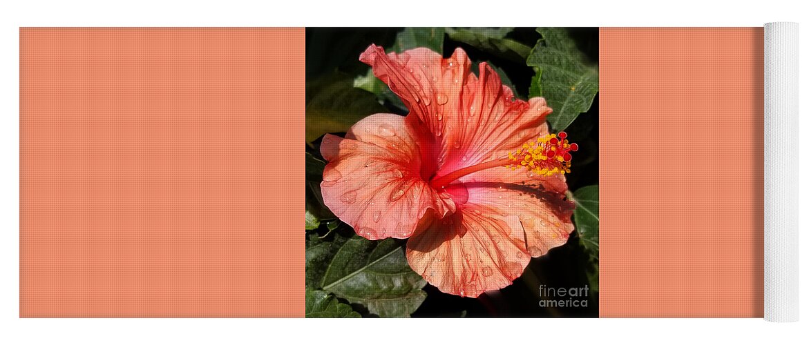 Diane Berry Yoga Mat featuring the photograph Salmon Hibiscus by Diane E Berry