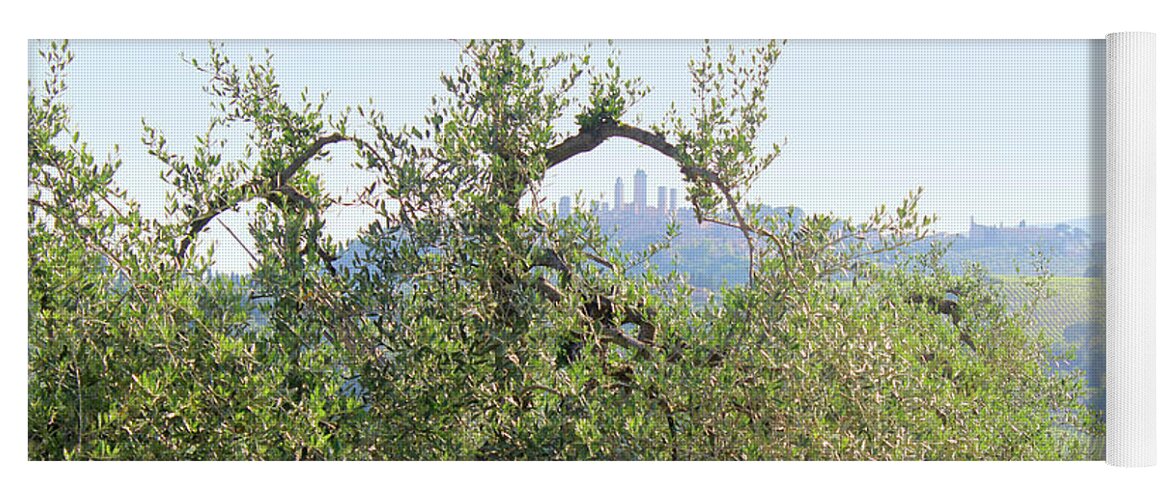 Olive Yoga Mat featuring the photograph San Gimignano in Italy encircled by an olive branch by Adam Long