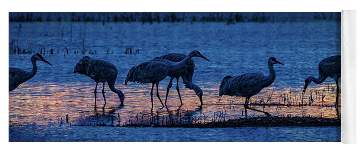 Animals Yoga Mat featuring the photograph Sandhill Cranes at Twilight by Bruce Bonnett