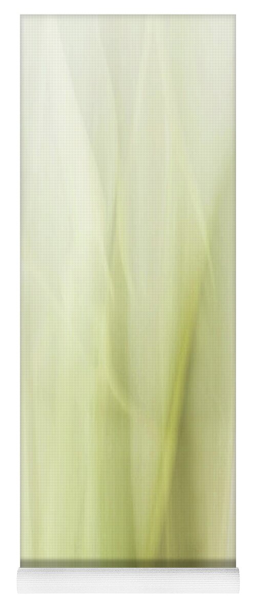 Abstract Yoga Mat featuring the photograph Sansevieria in Abstract by Cheryl Day