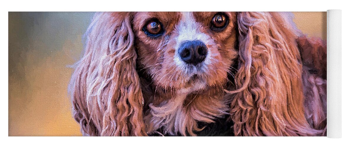 Animals Yoga Mat featuring the photograph Say What? by Maria Coulson