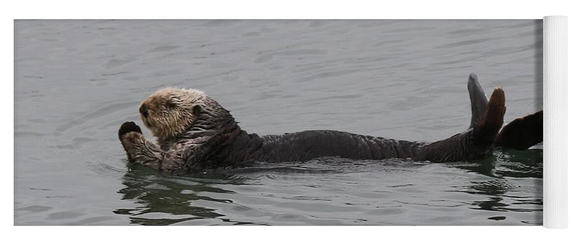 Sea Otter Yoga Mat featuring the photograph Sea Otter - 5 by Christy Pooschke