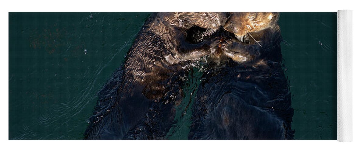 Sea Otter Yoga Mat featuring the photograph Sea Otters II Color by David Gordon