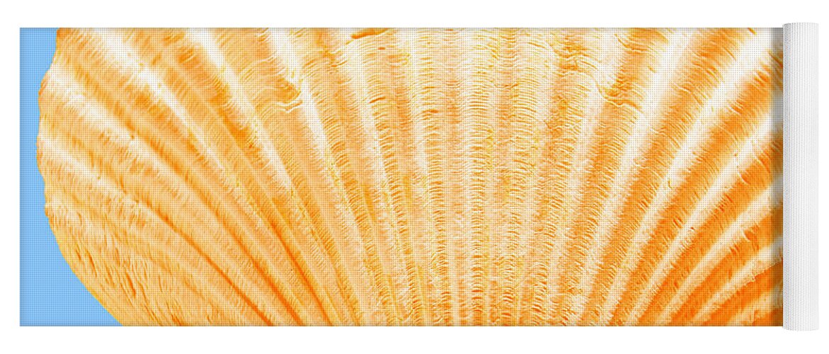 Sea Yoga Mat featuring the photograph Sea Shell-Orange-blue by WAZgriffin Digital