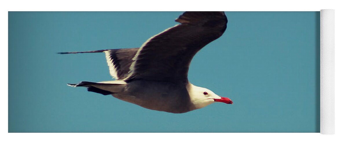 Bird Yoga Mat featuring the photograph Seagull Aflight by Charles Benavidez