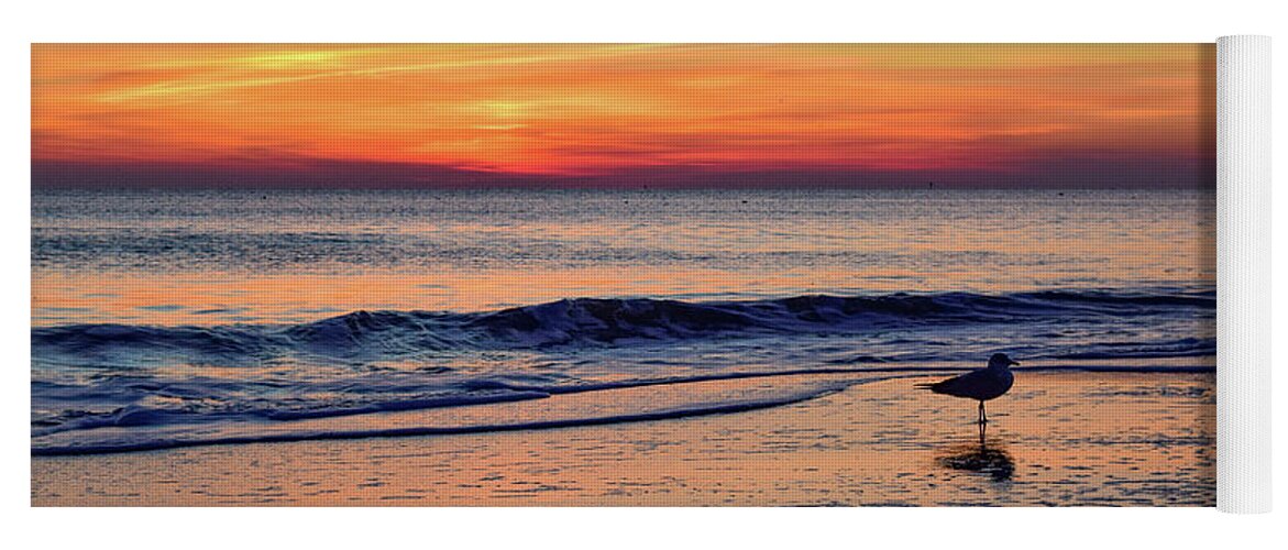 Beach Yoga Mat featuring the photograph Seagull at Sunrise by Nicole Lloyd