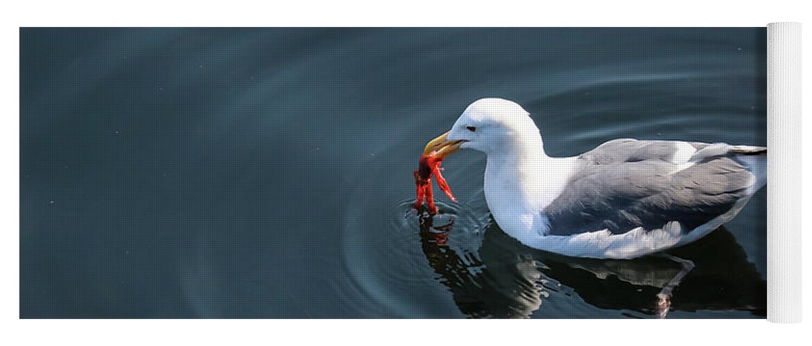 Seagull Yoga Mat featuring the photograph Seagull Feasting On Crab by Suzanne Luft
