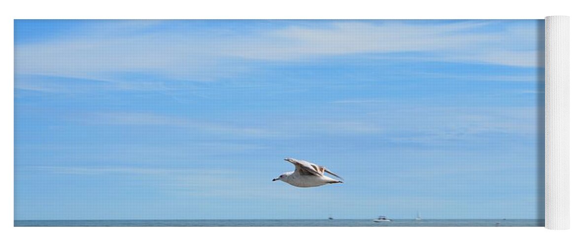 Seagull Yoga Mat featuring the photograph Seagull in Flight by Dani McEvoy