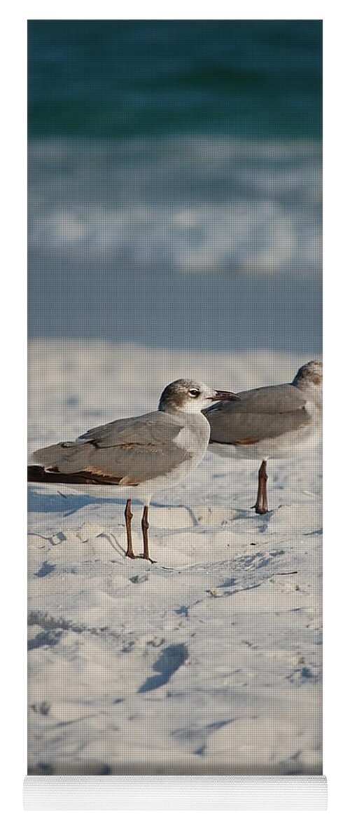 Seagulls Yoga Mat featuring the photograph Seagulls by Robert Meanor