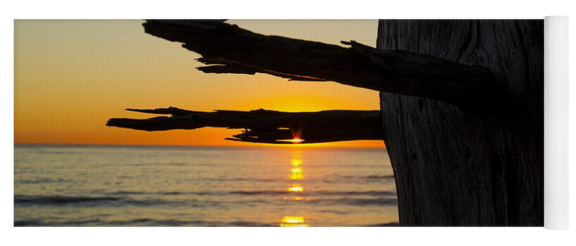 Branch Yoga Mat featuring the photograph Seaside Tree Branch Sunset by Pelo Blanco Photo