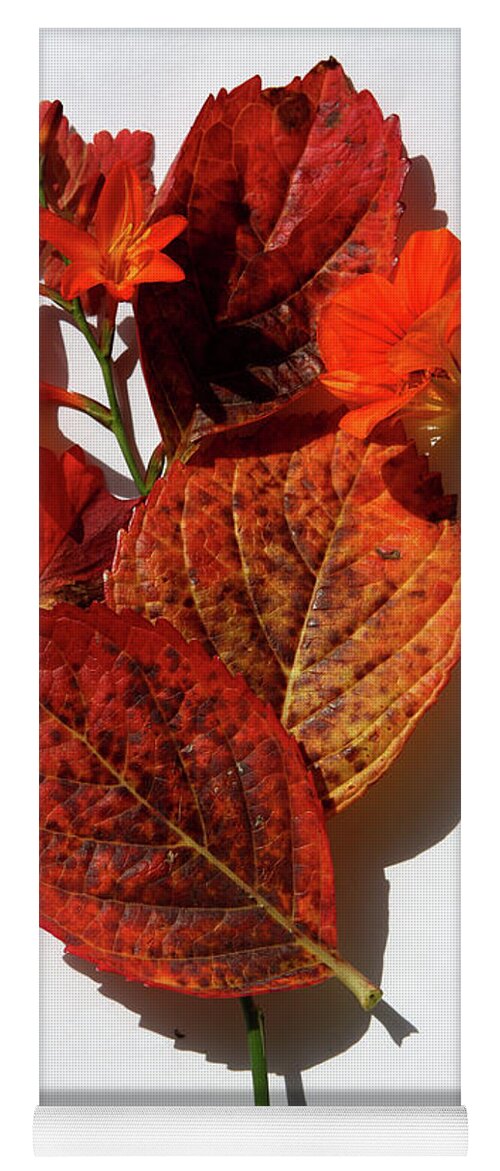Outdoor Yoga Mat featuring the photograph Autumn Colour by Aidan Moran
