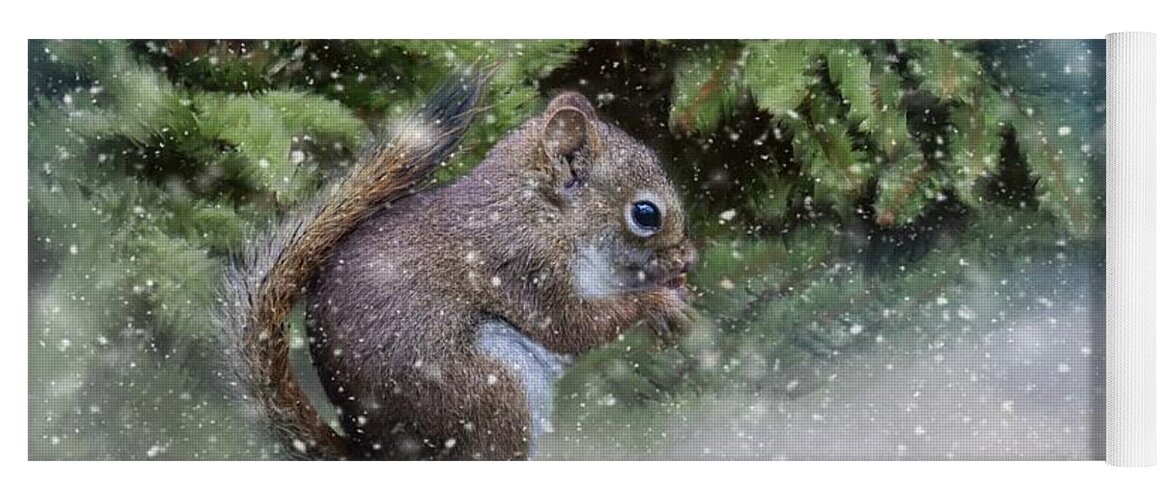 Squirrel Yoga Mat featuring the photograph Season's Greetings by Eva Lechner